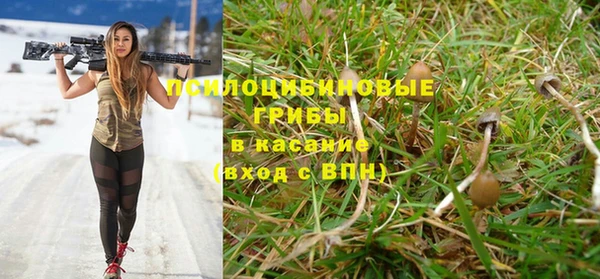 ГАЛЛЮЦИНОГЕННЫЕ ГРИБЫ Алзамай