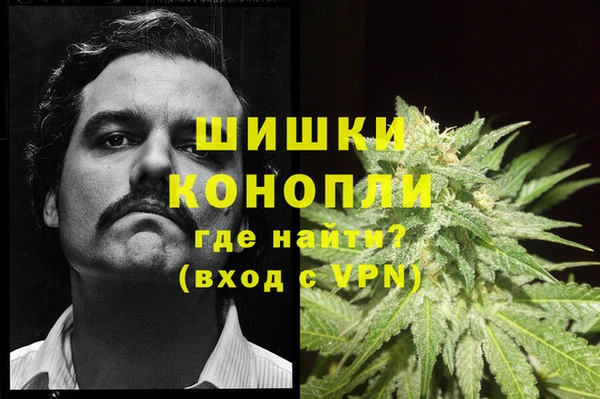 героин Алексин