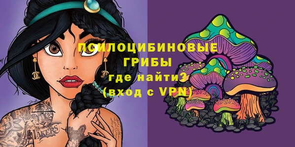 ГАЛЛЮЦИНОГЕННЫЕ ГРИБЫ Алзамай