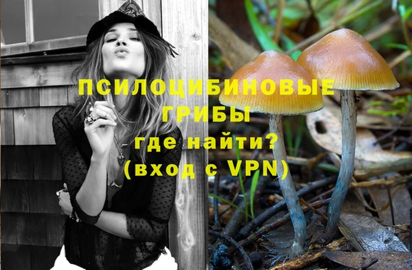 мдпв Пестово